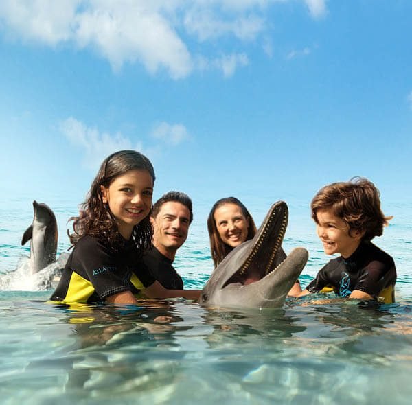 Swim with Dolphin in Dubai