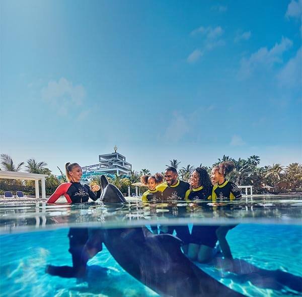 Dolphin Photo Fun Dubai