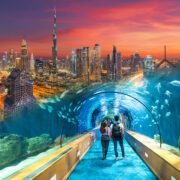 Burj Khalifa and Dubai Aquarium Tickets