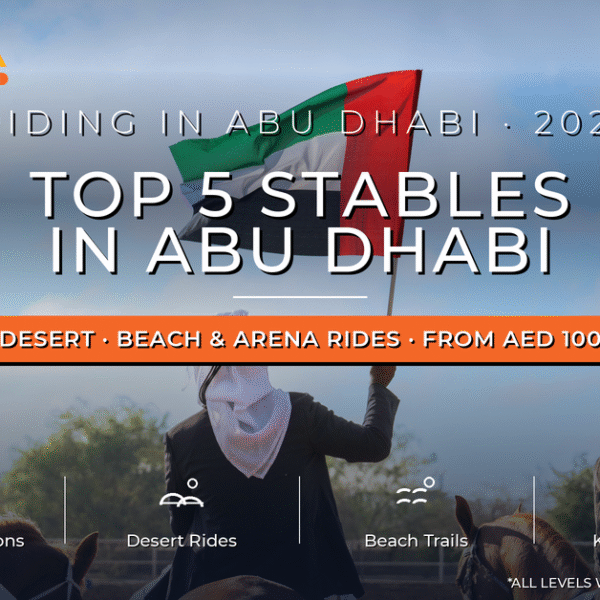 Top 5 Stables in Abu Dhabi: Horse Riding Guide 2026