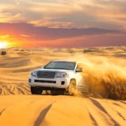 Best desert safari in Abu Dhabi