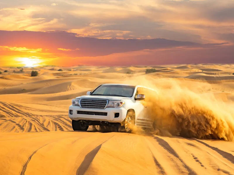 Best desert safari in Abu Dhabi