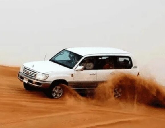Top Features of Our Premium Desert Safari Experience