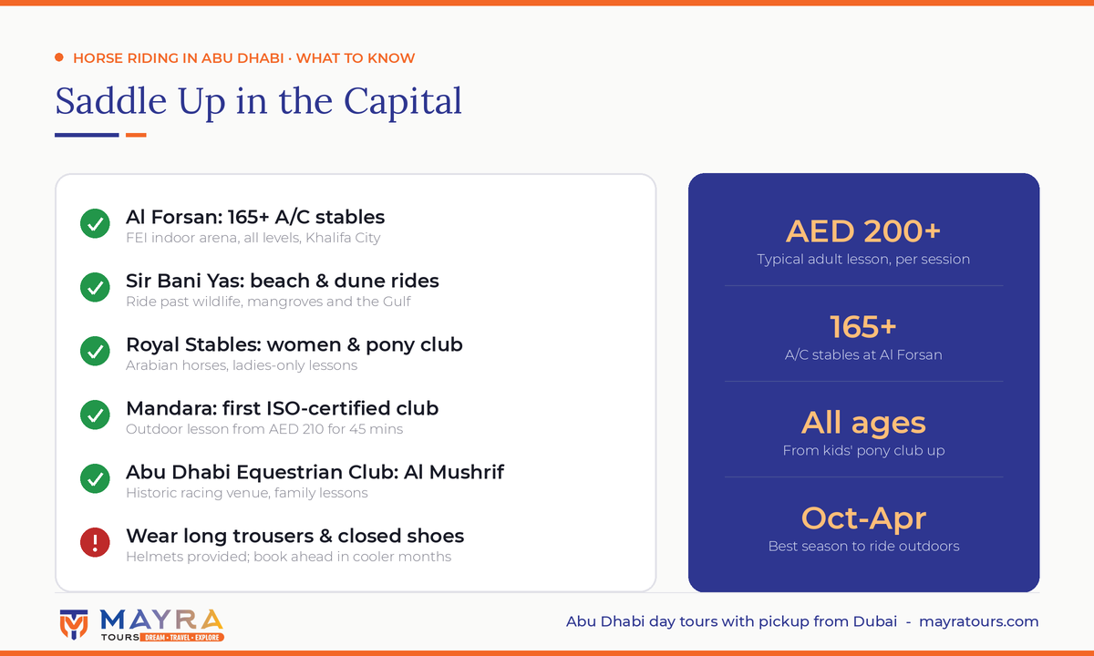 Top horse stables in Abu Dhabi infographic - Al Forsan, Sir Bani Yas beach rides, Royal Stables, Mandara and Abu Dhabi Equestrian Club with prices by Mayra Tours