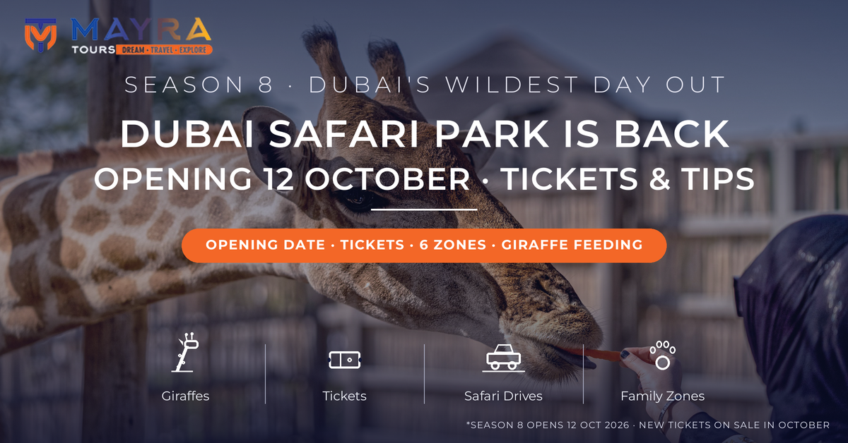 Visitor hand-feeding a carrot to a giraffe at Dubai Safari Park's Al Wadi village - Dubai Safari Park Season 8 opening date 12 October 2026, tickets and tips by Mayra Tours