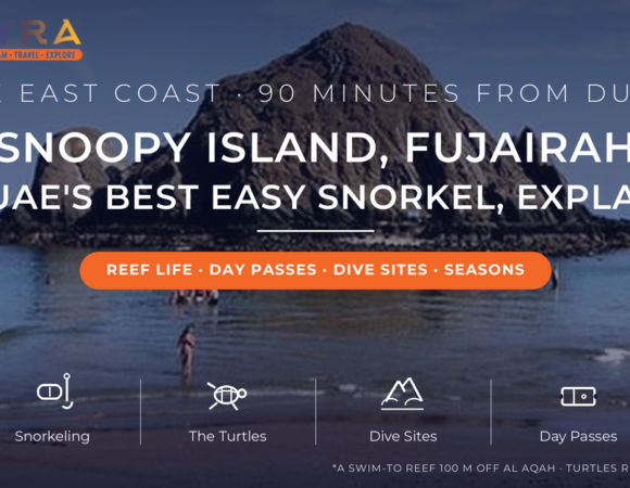 Snoopy Island: Where to Find the Best Snorkeling and Diving in Fujairah?